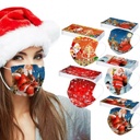 3 Ply Face Mask - Christmas Design