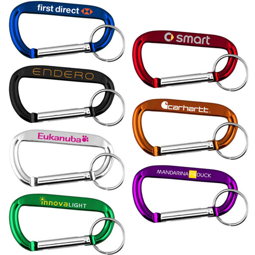 [UB1145] Carabiner Metal Clip With Keychain